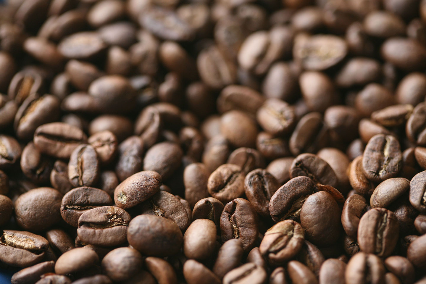 méthodes de traitement du café pour une utilisation