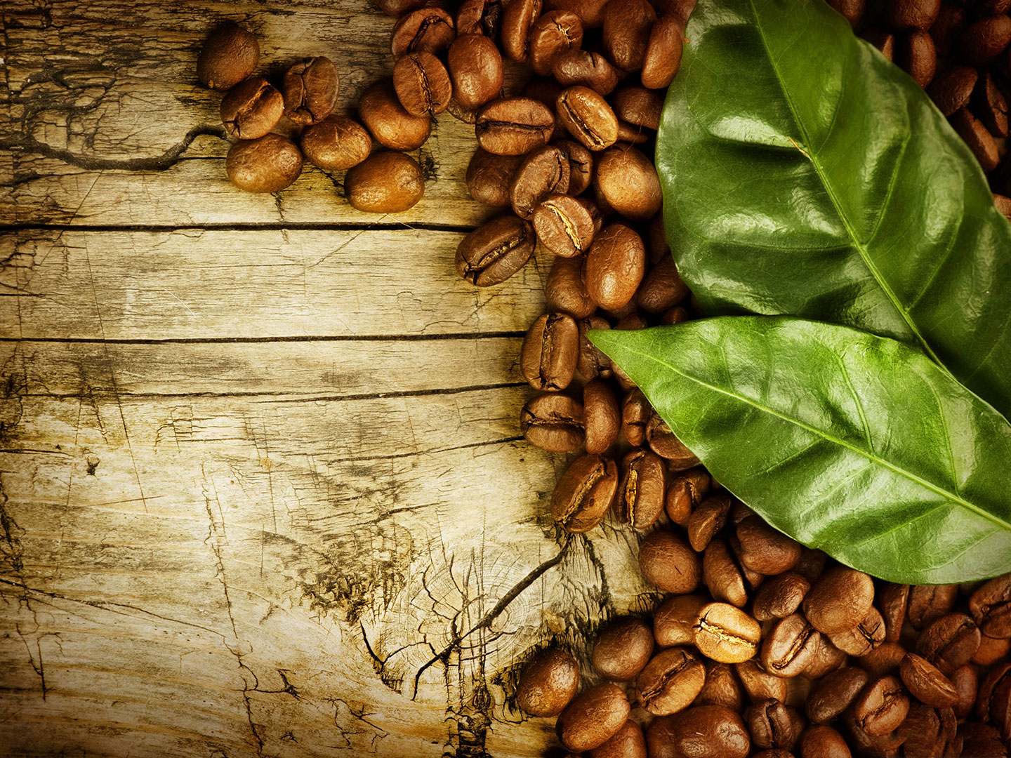 Protéger contre les maladies du coeur